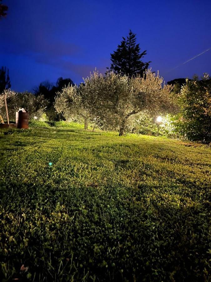 Casale La Valle Del Tevere Ponte Pattoli Kültér fotó